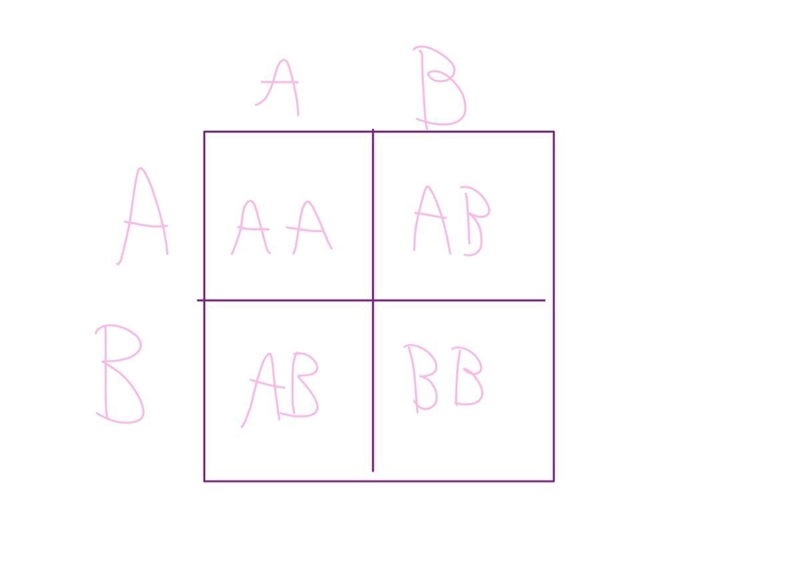 A man with type AB blood is married to a woman also with type AB blood. Show the cross-example-1