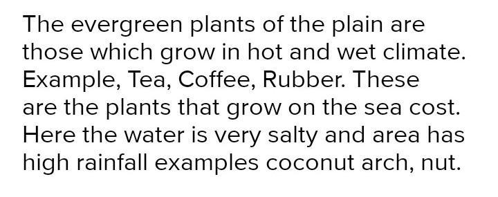 Any two features of plants grown in hot and moist places​-example-1