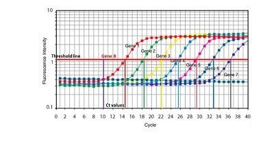 15. Assuming the fluorescence threshold is set to be 1. Which gene has the highest-example-1