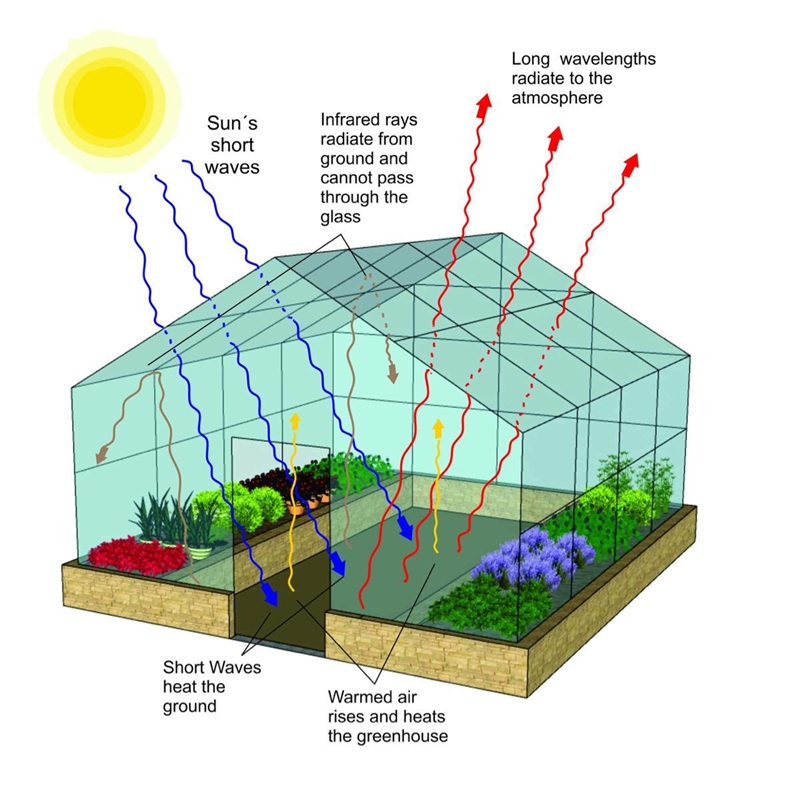 What does a greenhouse represent?​-example-1