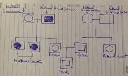 Huntington's disease, which causes degeneration of neurons, runs in Mark's family-example-1