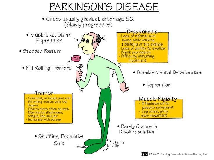 Nervous system basis of Parkinson's disease-example-1