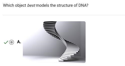 Which object best models the structure of DNA? O A. OB.-example-1