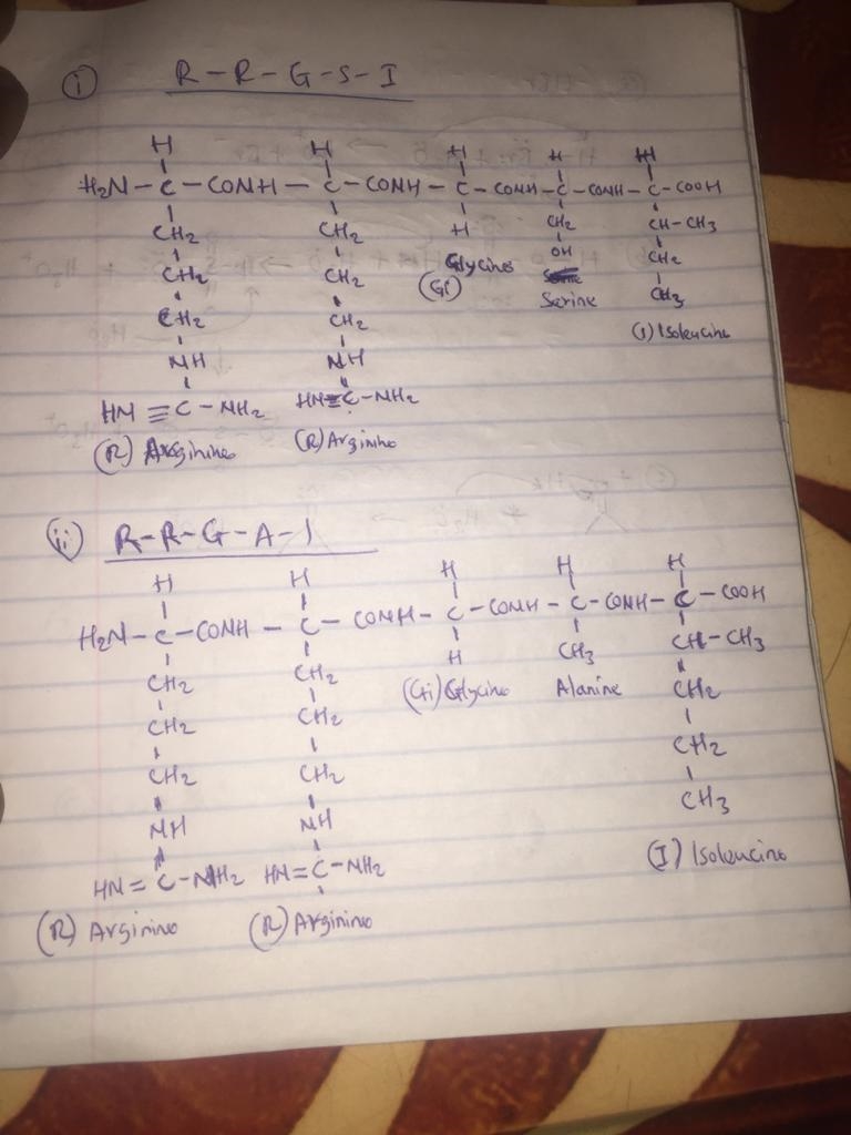 The substrate sequence recognized by protein kinase A (PKA) is R-R-G-S-I. The pseudosubstrate-example-1