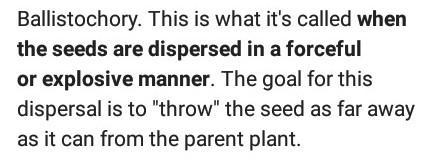 What is ballistochory? A.) the dispersal of seed by force. B.) the dispersal of seed-example-1