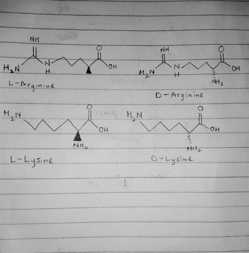 Explain why serine proteases do not catalyze hydrolysis if the amino acid at the hydrolysis-example-1