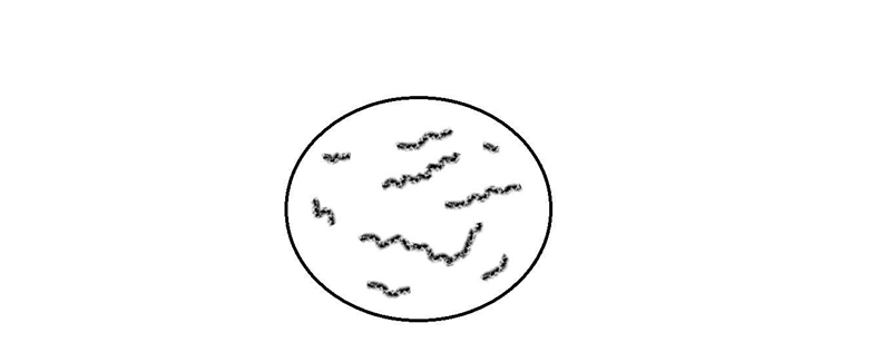 Streptococcus mutans is one of the bacteria responsible for dental plaque formation-example-1