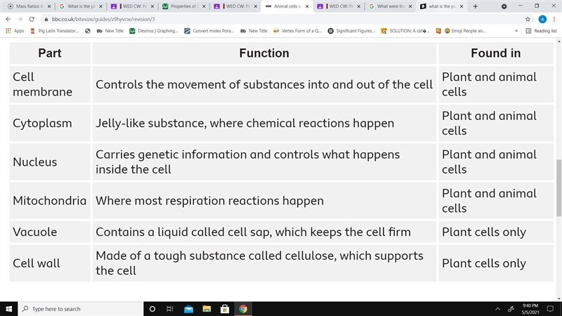 What is the purpose of each part of the animal cell-example-1