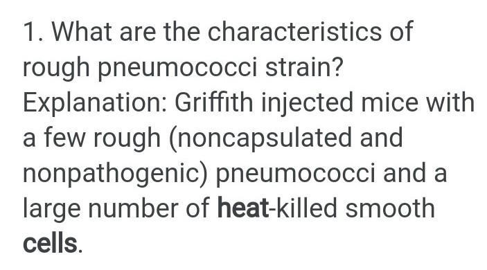 What are the characteristic of rough pneumococci strain​-example-1