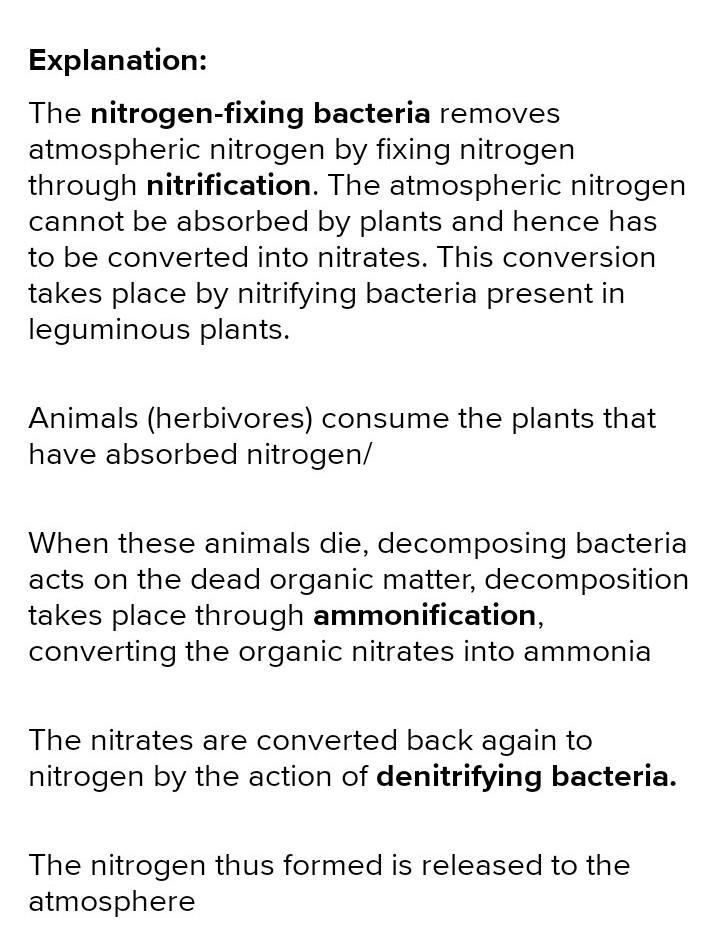 Nitrogen cannot be used by plants or animals in its gaseous form. Place the steps-example-2