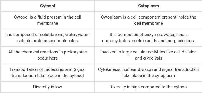 • Distinguish between cytoplasm and cytosol-example-1