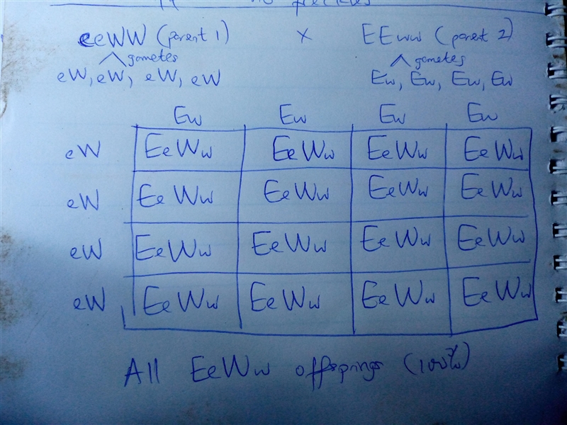 What is the answer with explaining-example-1