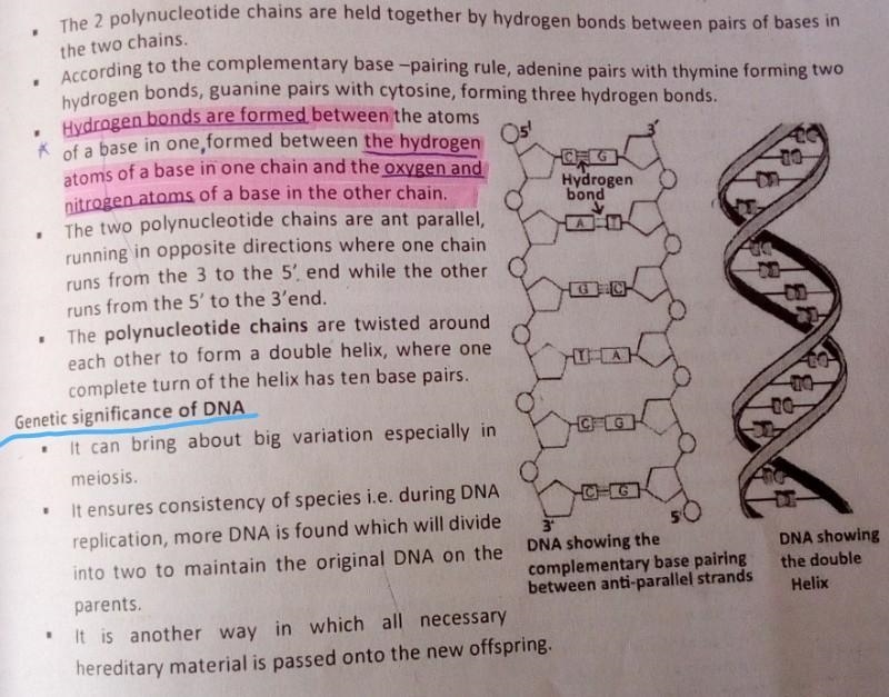 Please can anyone help me with my science work-example-2