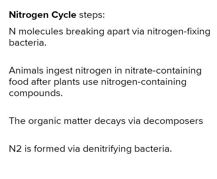 Nitrogen cannot be used by plants or animals in its gaseous form. Place the steps-example-1