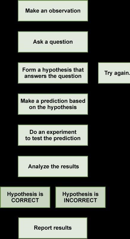 What ways do you use the scientific method in everyday life ?-example-1