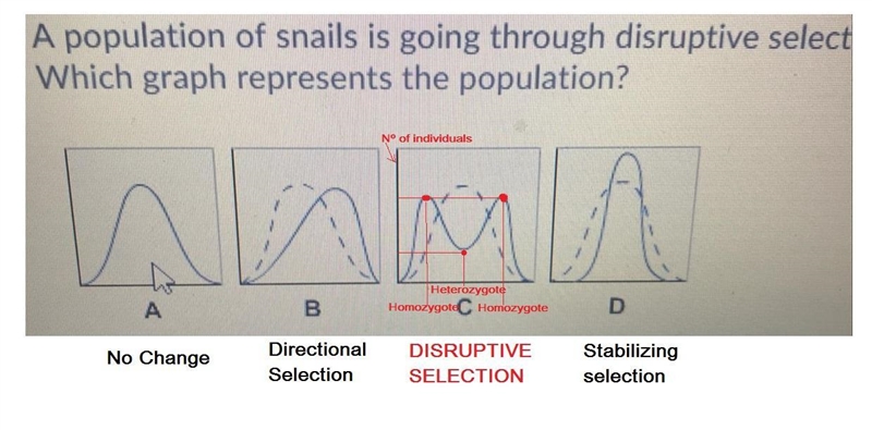 On the graphs, the dashed line represents the original population, and the solid line-example-1