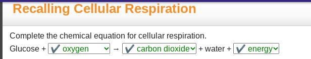 Complete the chemical equation for cellular respiration, Glucose + _____ —> ____ + water-example-1