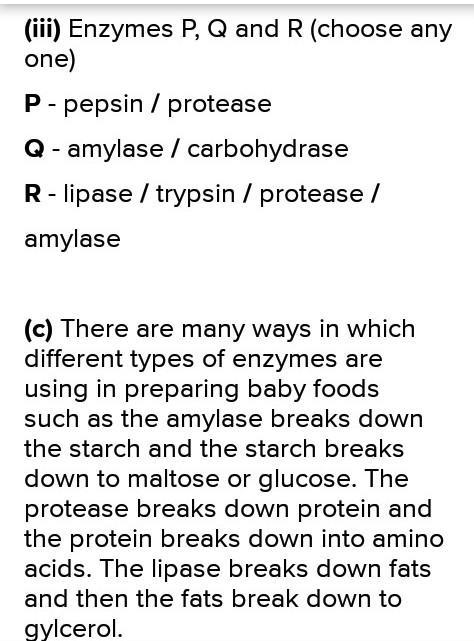 I need help! Pls help!!!-example-1