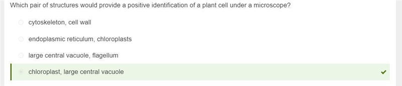 Which pair of structures would provide a positive identification of a plant cell under-example-1