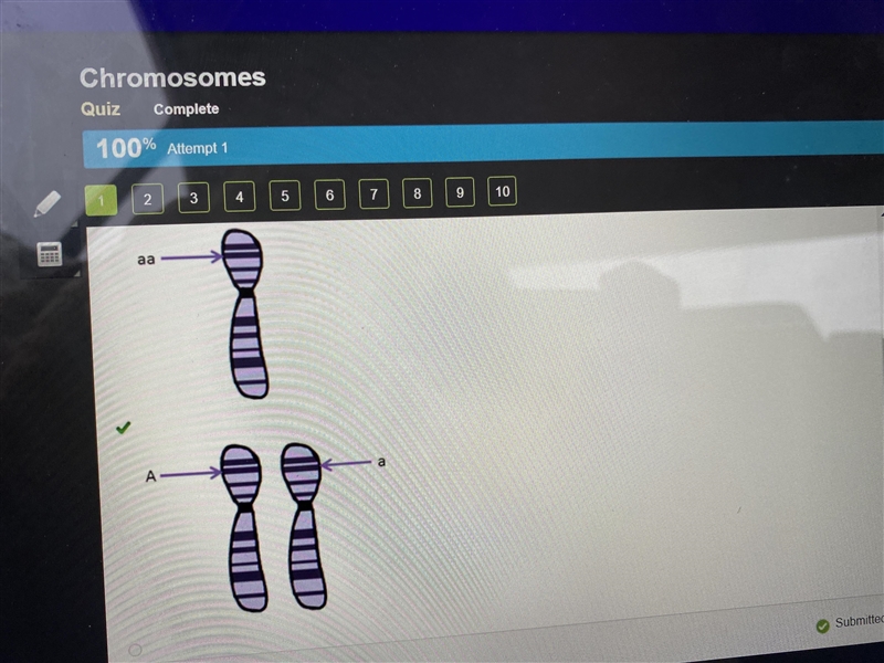 Which diagram correctly shows how h-zygous alleles are found on h-logous chromosomes-example-1