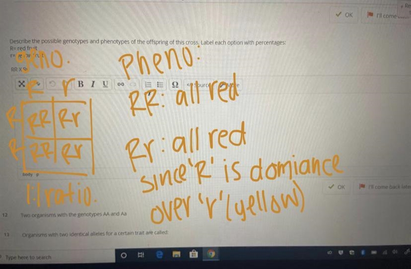 PLEASE HELP ME :( Describe the possible genotypes and phenotypes of the offspring-example-1