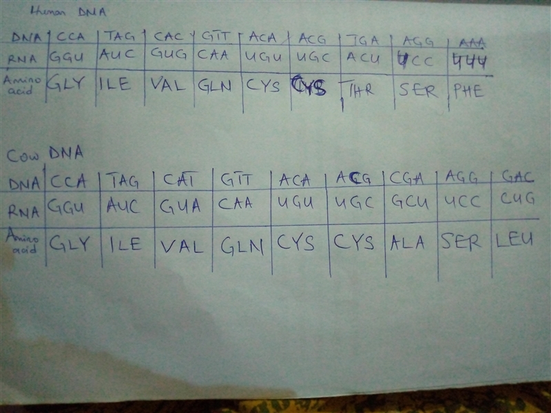 Instructions: 1 Using the DNA sequence, make a complementary RNA strand from both-example-1