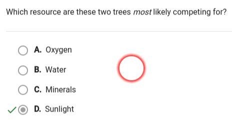 Question 5 of 10 Pls Help This strangler fig tree is growing on another tree. It will-example-1