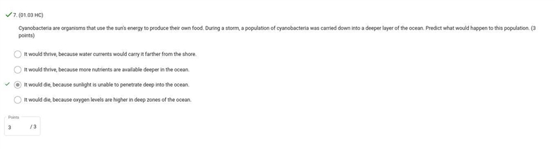 Cyanobacteria are organisms that use the sun's energy to produce their own food. During-example-1