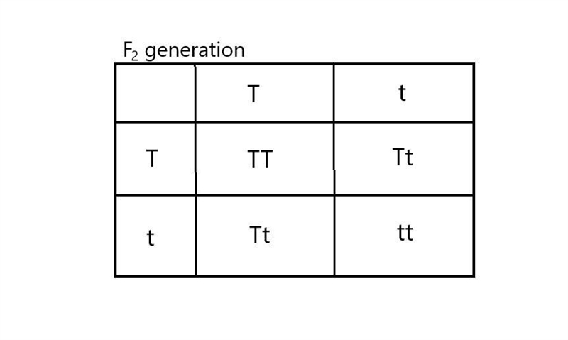 Question 5: A tall pea plant (TT) is crossed with short pea plant (tt) Given: T. is-example-2