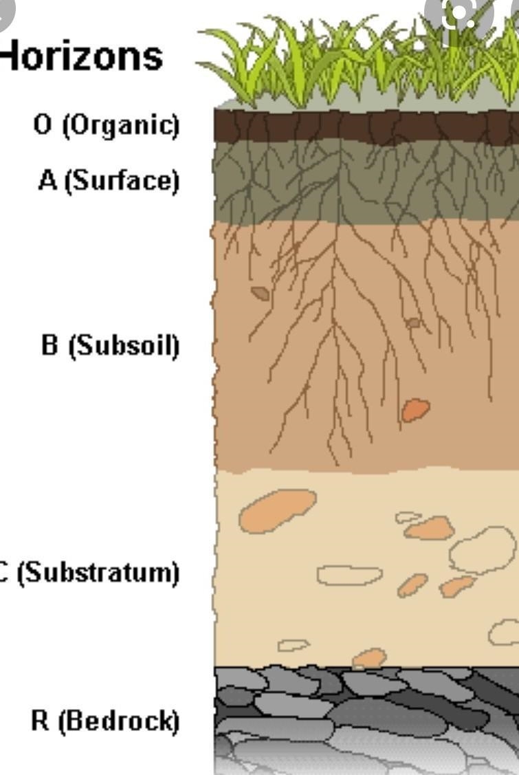 Praw a diagram of the different type of Soil horizon​-example-1