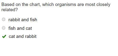 Based on the chart, which organisms are most closely related￼? A: rabbit and fish-example-1