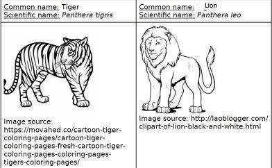 Based on the organisms’ names, what can be concluded about the relation of each species-example-1