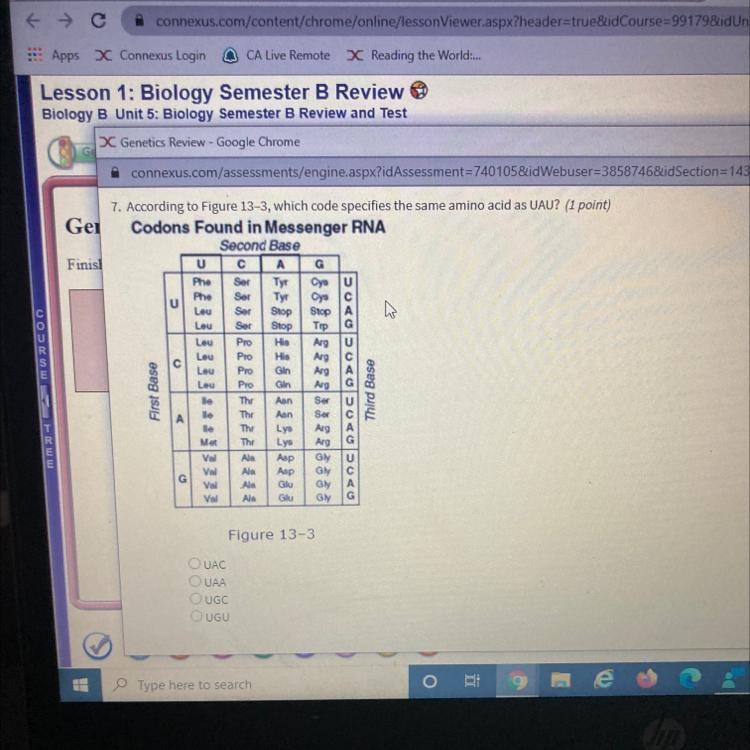 Ty N Тір - According to Figure 13-3, which code specifies the same amino acid as UAU-example-1