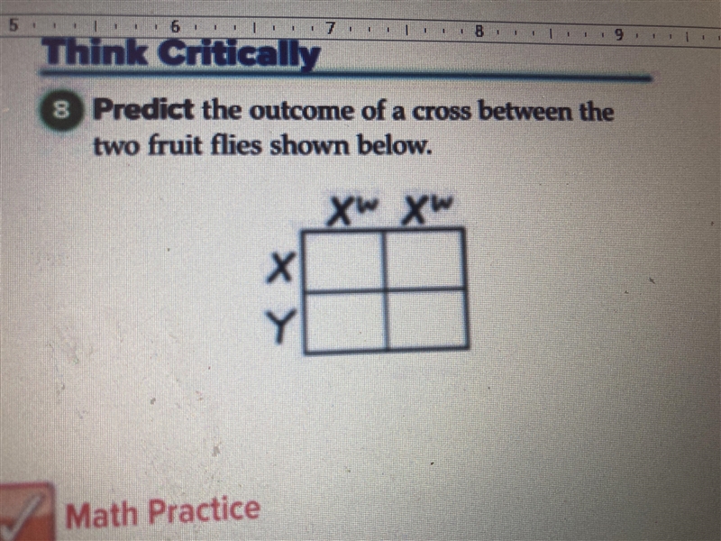 Predict outcome of a cross between the fruit flies shown below?-example-1