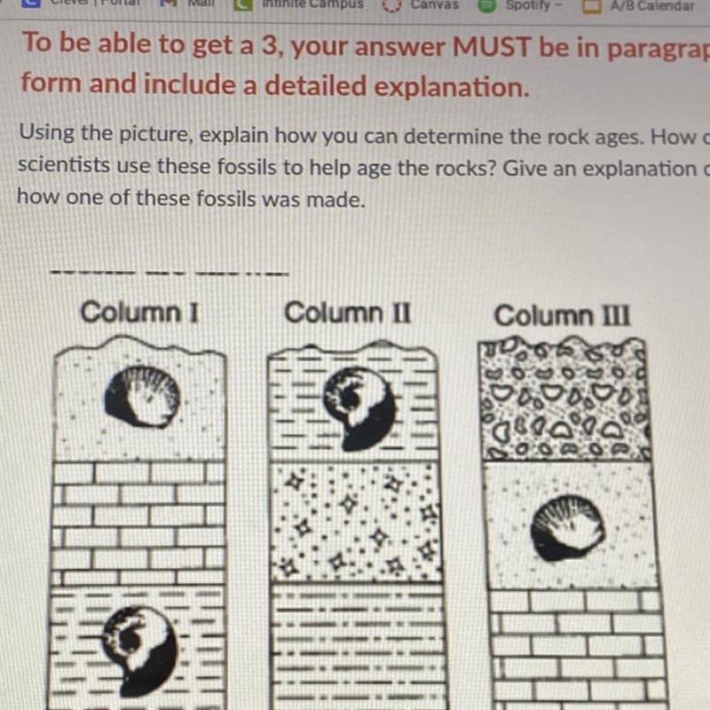 PLEASE HELP URGENT!! Using the picture, explain how you can determine the Rick ages-example-1