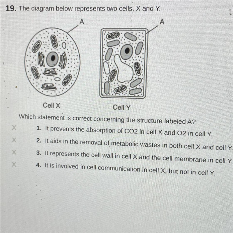 Plz help ASAP I’m having trouble with this question-example-1