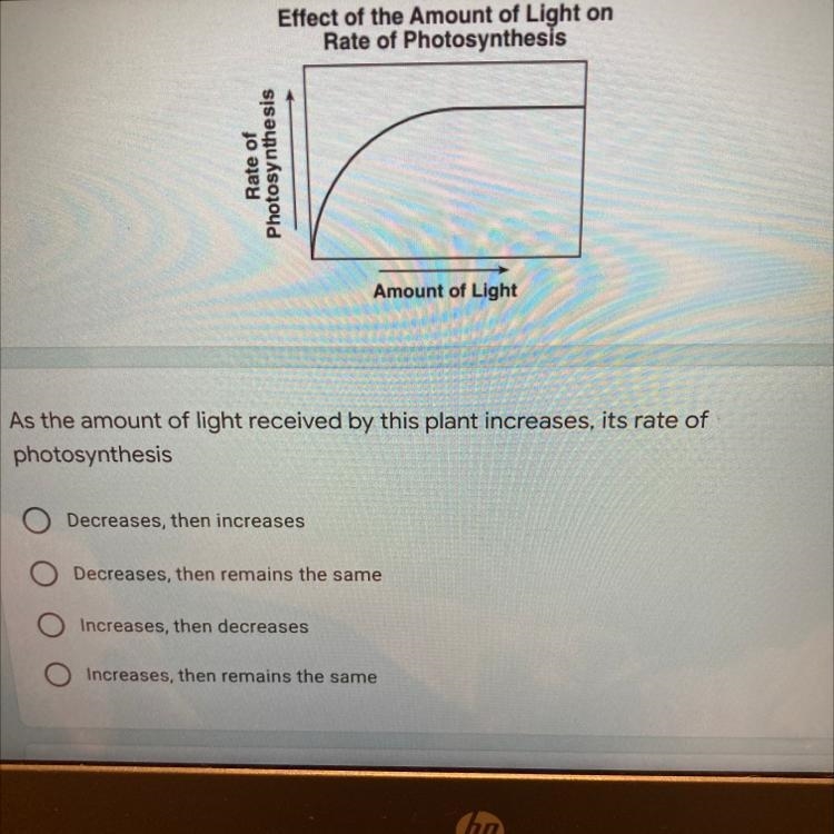 As the amount of light received by this plant increases, its rate of photosynthesis-example-1