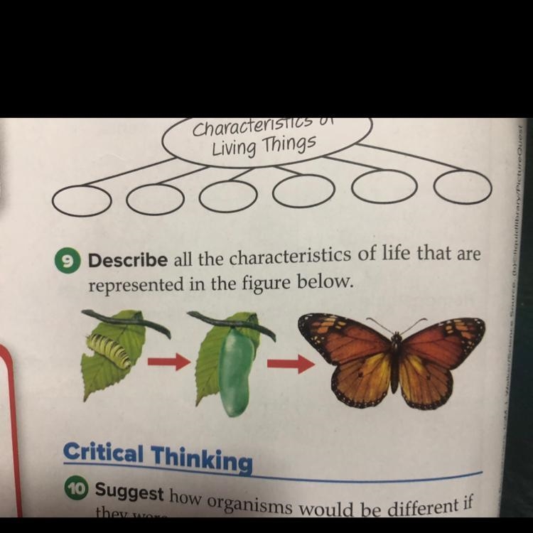 Pls help me for number 9 !! : ) ( Science )-example-1