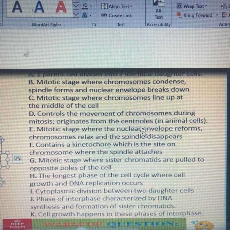 1.) interphase 2.) S Phase 3.) Mitosis 4.) Cytokinesis 5.) Prophase 6.) Metaphase-example-1