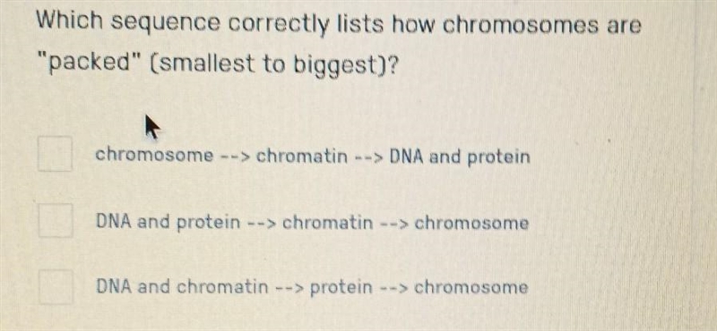 Which sequence correctly list how chromosomes are packed smallest to largest chromosomes-example-1