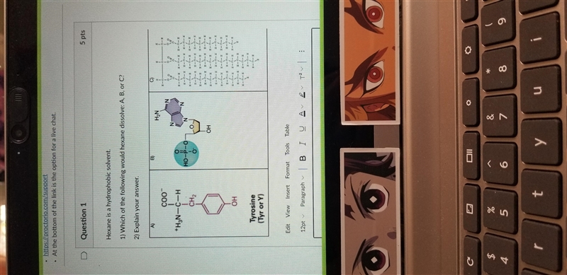 Hexabe is a hydrophobic solvent. 1) Which of the following would Hecate dissolve: A-example-1