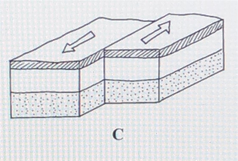 Describe the movement of the tectonic plates in model C. What is this situation called-example-1