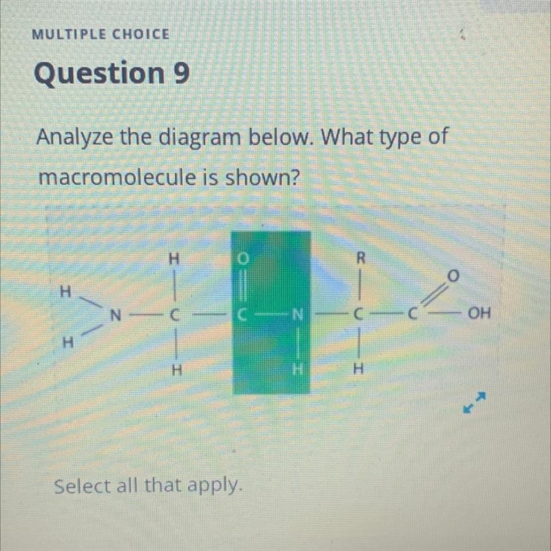 Please help a- protein b- carbohydrate c- liquid d- nuclear acid-example-1