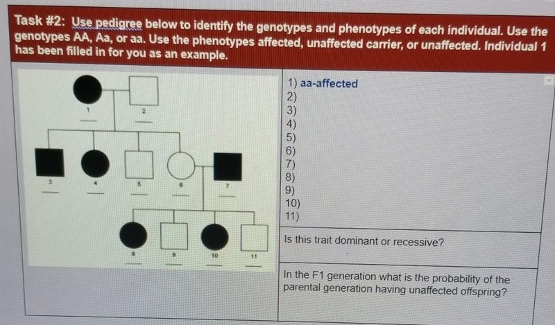 PLEASE HELP DONT STEAL POINTS 4TH TIME PUTTING THIS UP ​-example-1