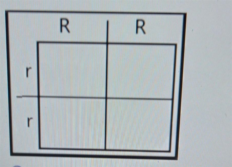 PLS HELP ME What is the % phenotype for this cross if round is the dominant trait-example-1