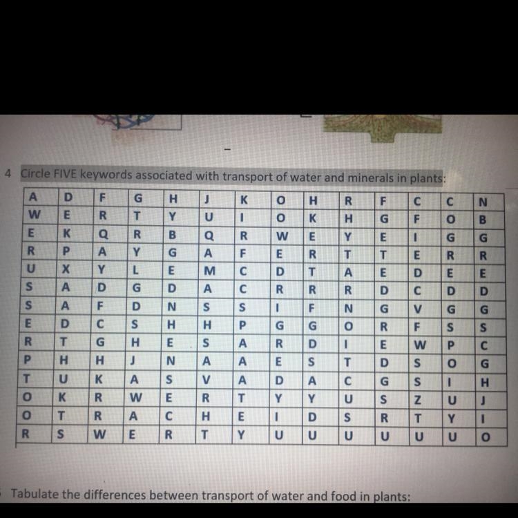 Circle FIVE keywords associated with transport of water and minerals in plants-example-1