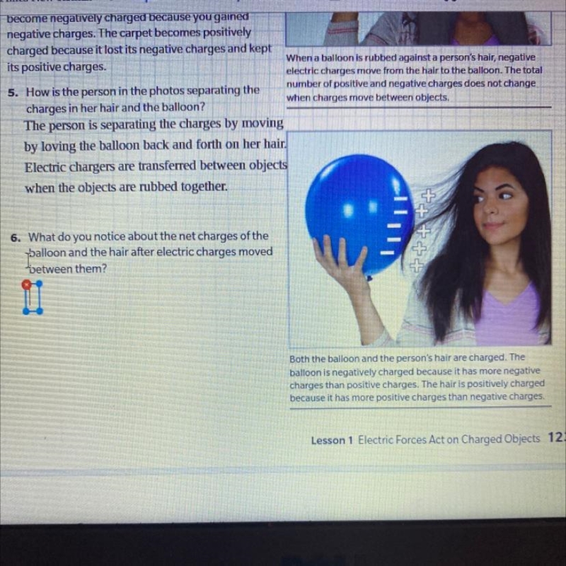 What do you notice about the net charges of the balloon and the hair after electric-example-1