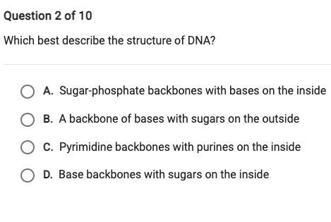 Which best describes the structure of DNA-example-1