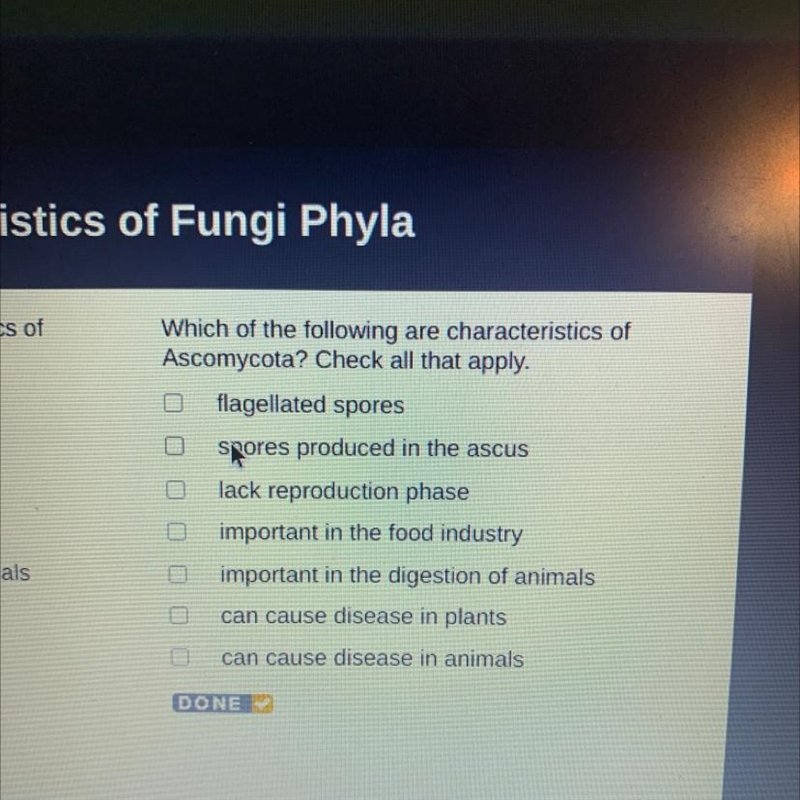 Which of the following are characteristics of Ascomycota? Check all that appply. PLEASE-example-1