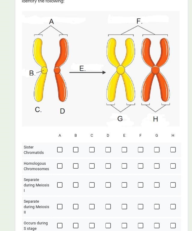 I need to answer ASAP Pls-example-1